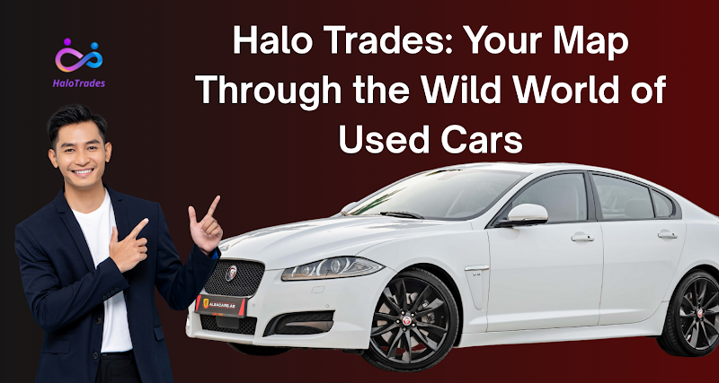 HaloTrades Blog Hero